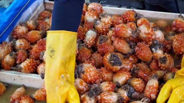 Fresh Sea squirt Cutting and Sashimi - Korean Street Food смотреть онлайн