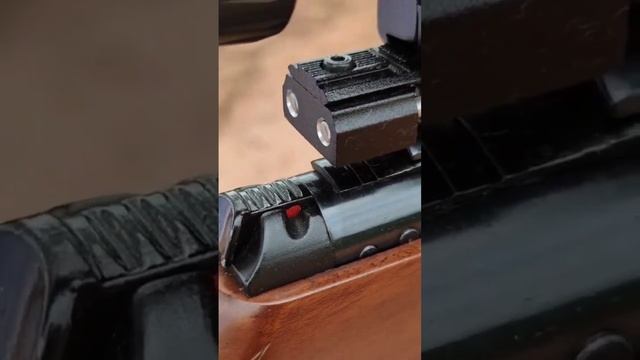 Hatsan Ht95 vídeo completo no canal INSCREVA-SE e acompanhe os vídeos tradicionais #shorts #airgun смотреть онлайн