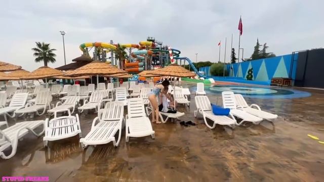 Генсуха спалила свои орехи смотреть онлайн