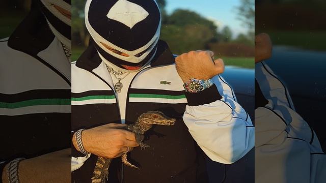 Aligatori смотреть онлайн