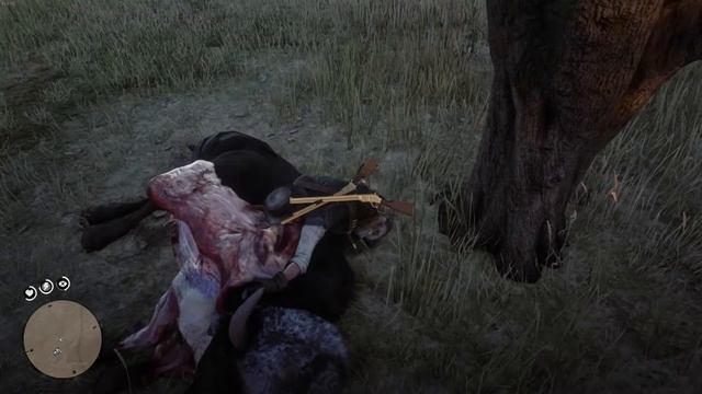 Red Dead Redemption 2 Walkthrough: LEGENDARY TATANKA BISON HUNT