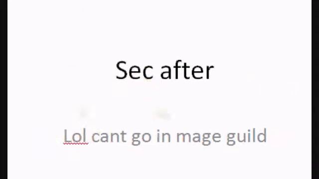 Muffin King's 99 mage party смотреть онлайн