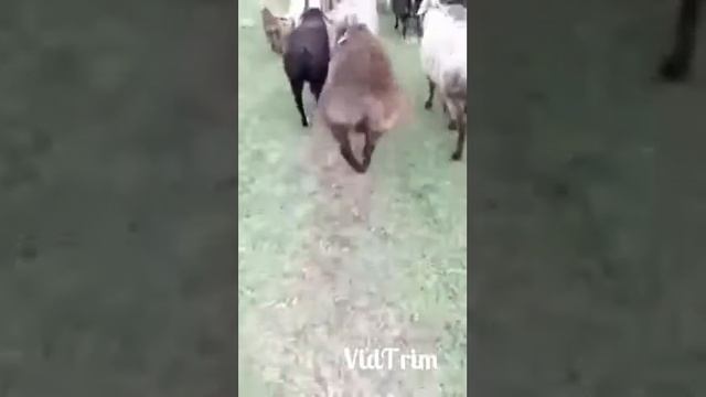 Иду такая вся смотреть онлайн