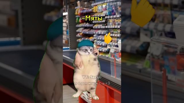 Собака перехитрила жвачку 🤣 #мем #котики смотреть онлайн