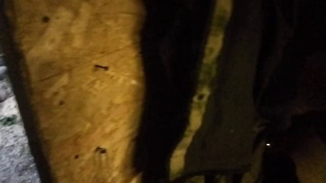 Нашли 3 топора, и поймали щуку смотреть онлайн