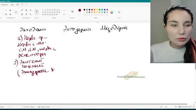 Развитие зародыша - зародышевые листки, из чего развиваются органы
