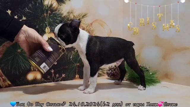 Олтью смотреть онлайн