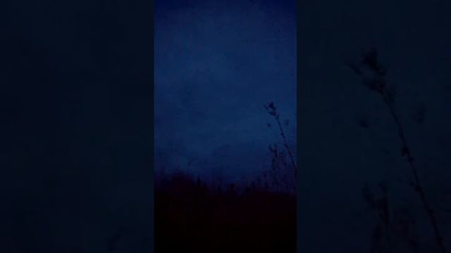 Весенняя тяга вальдшнепа. Смотреть с 1:45 смотреть онлайн