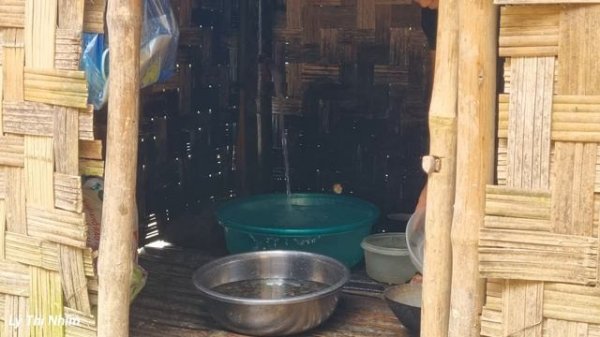 Pick up snails to sell at the market | Cook delicious dishes from snails