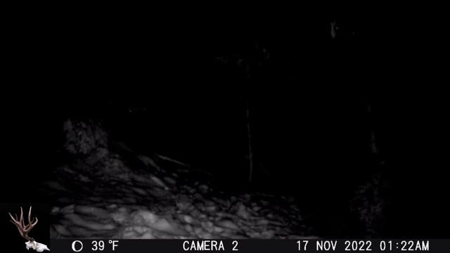 I Retrieved A Camera From The BC Coastal Mountains смотреть онлайн