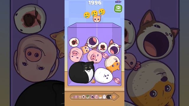 капибара 12🥳 смотреть онлайн