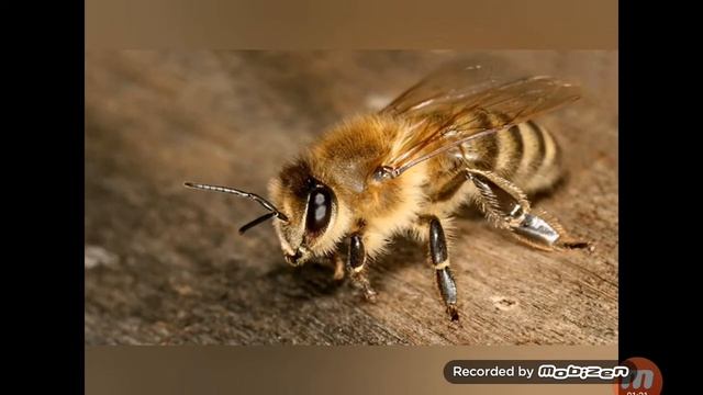 Султан асылбеков смотреть онлайн