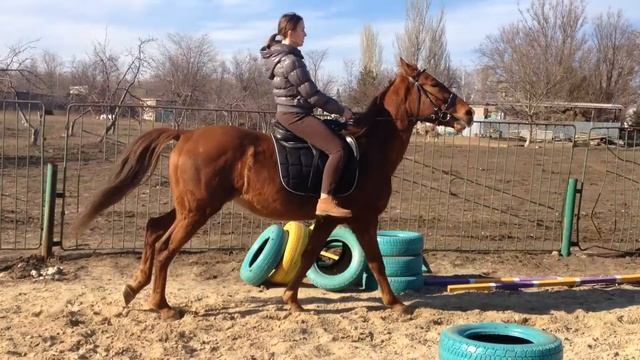 Эля и Морфей, галоп) смотреть онлайн