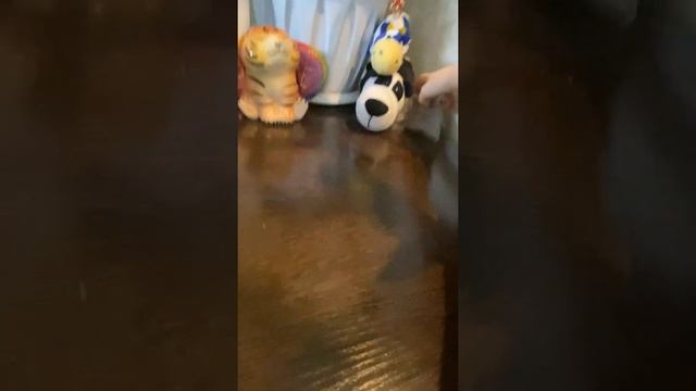 День хомяка исполняю желания смотреть онлайн