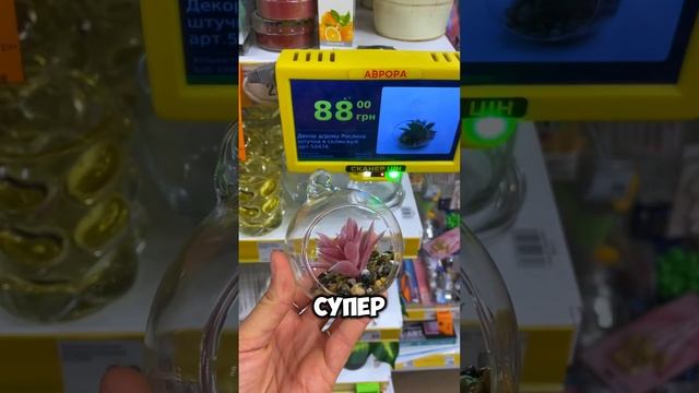 Что бы вы точно купили из этого ?🥹 #аврорамагазин #аврора #аврорачек @avrora.multimarket смотреть онлайн