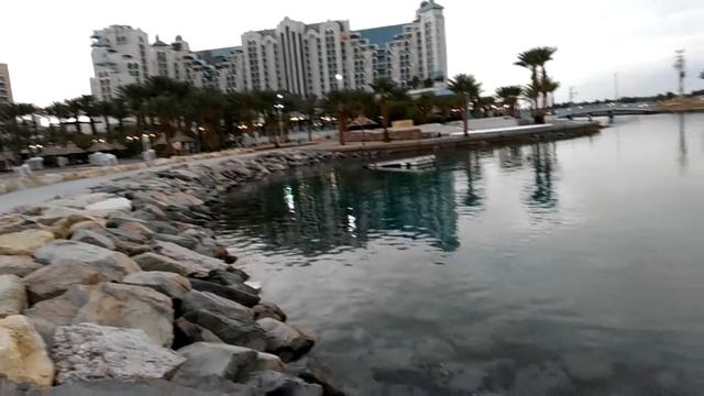 Эйлат 31.12.2015 морские ежи - Eilat sea hedgehogs. смотреть онлайн