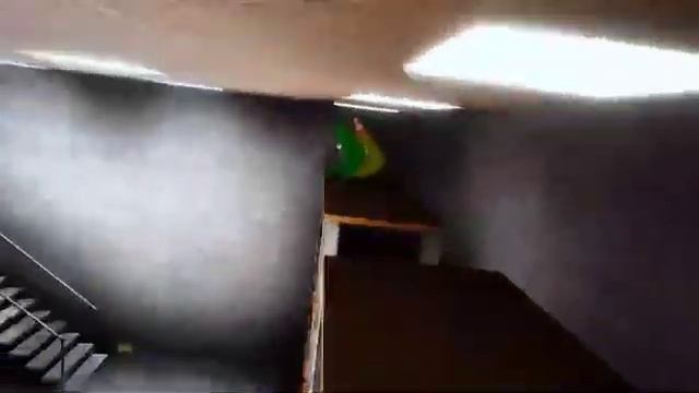 играю в Scary Baboon на Russian #gtag #scarybaboon