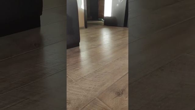 жизнь с собакой смотреть онлайн