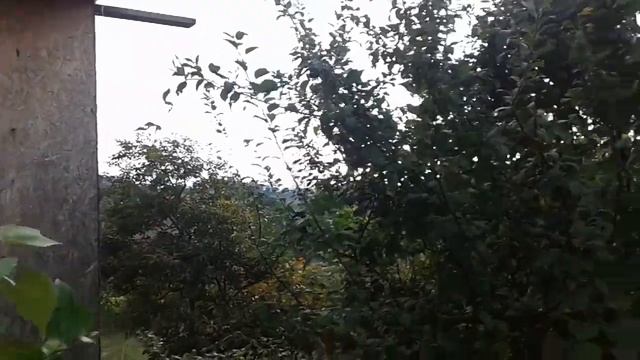 Похоже Черепашки 24.09.2018(5) смотреть онлайн