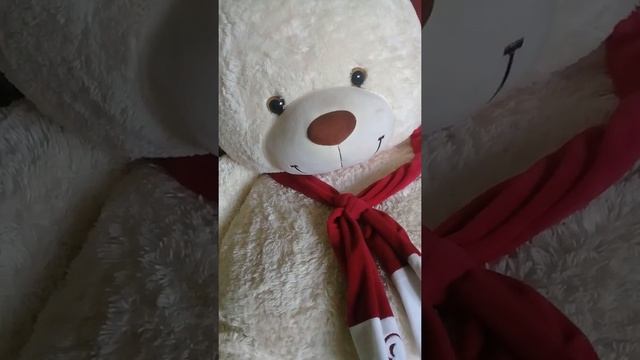 жизнь медведя 35 серия смотреть онлайн