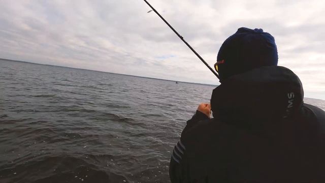 Раздача судака в Камском устье