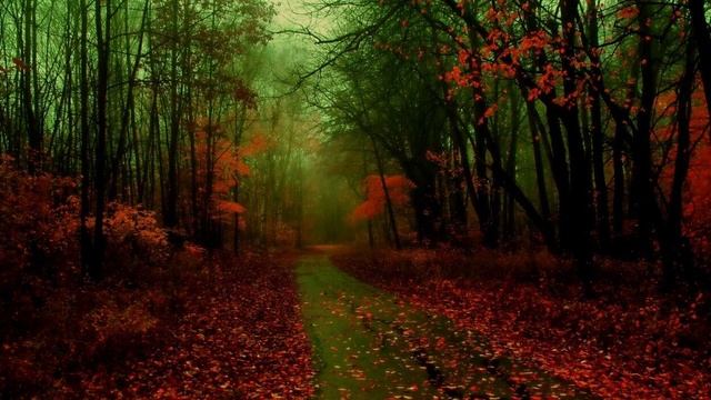 "I'm a fool to want you" - Frank Sinatra (Andrey Sannikov's flute improvisation) смотреть онлайн