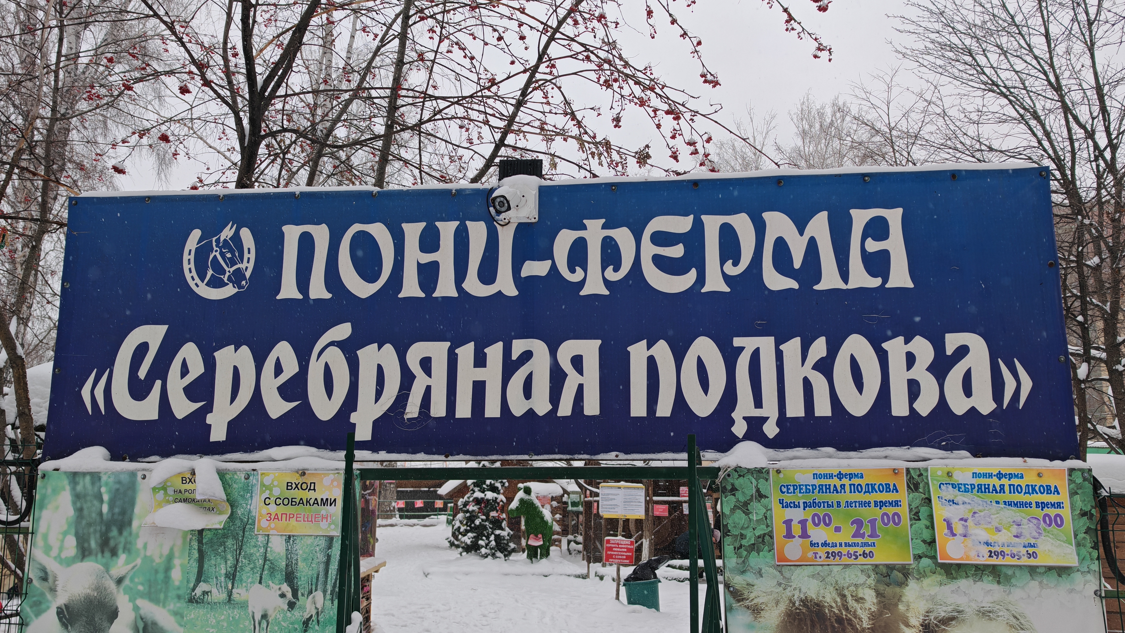 Зимние забавы в парке Берёзовая роща ❄️ смотреть онлайн