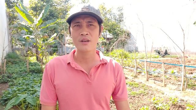 Chung chèo chung lái смотреть онлайн