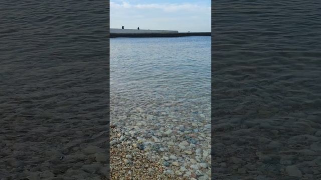 Пляж Парка Победы зимой. Севастополь. Кристально чистое море. #крымчайник #севастополь2025 #shorts