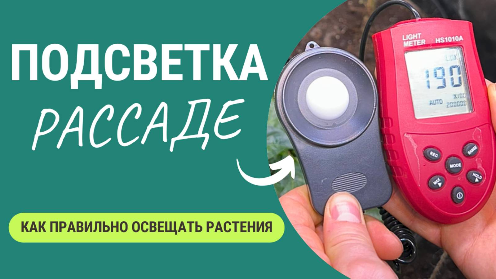 Идеальная Подсветка для Рассады: Ошибки, Которые Погубят Ваш Урожай смотреть онлайн