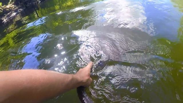 Первый щучий сплав этой осени