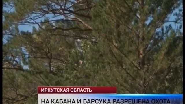 Оперативные новости 16.00_ 02 сентября смотреть онлайн