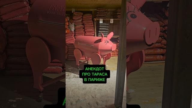 анекдот про Тараса в Париже смотреть онлайн