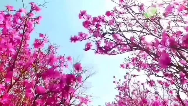 ЭТО ОЧЕНЬ СТРАШНО! САМА СЕБЕ ПОДПИСАЛА ПРИГОВОР! ОЛЬГА УРАЛОЧКА LIVE. ОБЗОР. смотреть онлайн