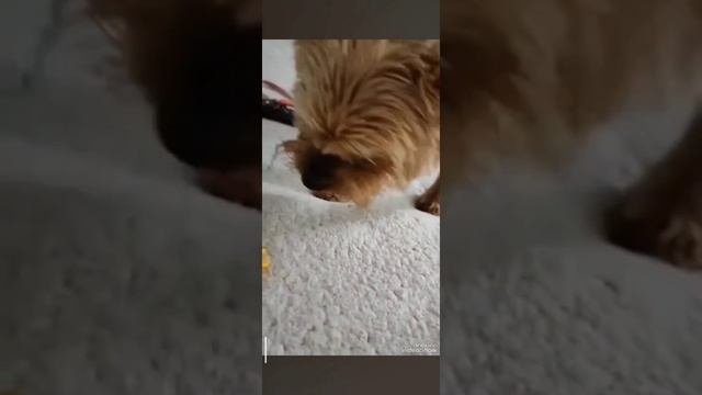 💗 смотреть онлайн