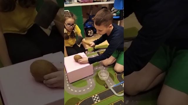 Кокос я тебя разломлю смотреть онлайн