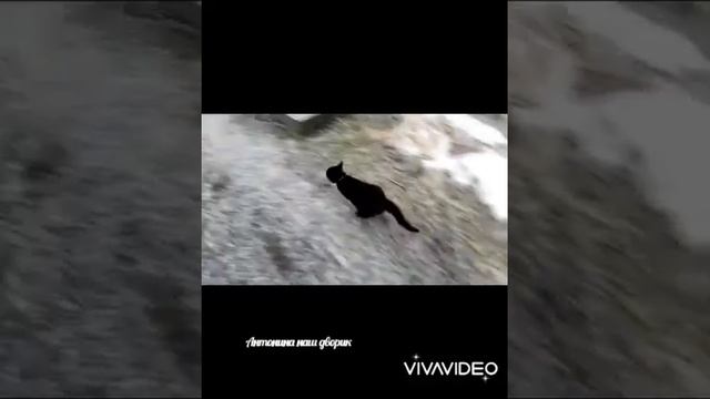 февраль 2022 смотреть онлайн