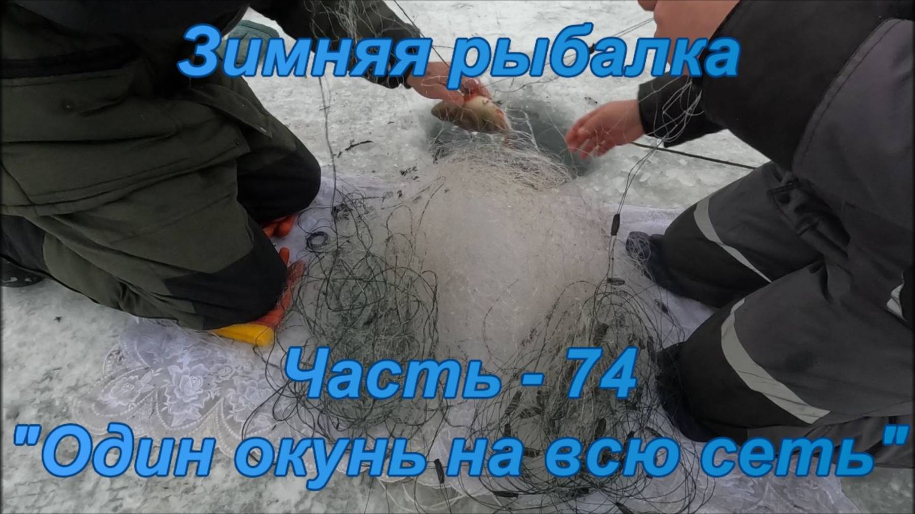 Зимняя рыбалка. Часть - 74. "Один окунь на всю сеть". смотреть онлайн