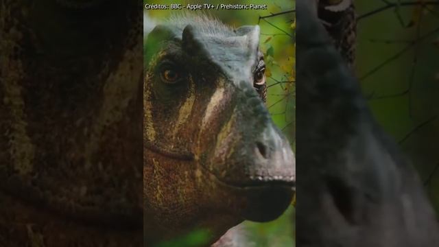 "EL PINOCHO REX" Lo Que NECESITAS Saber De QIANZHOUSAURUS #shorts смотреть онлайн