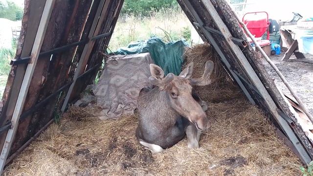 продуманиЛось... смотреть онлайн