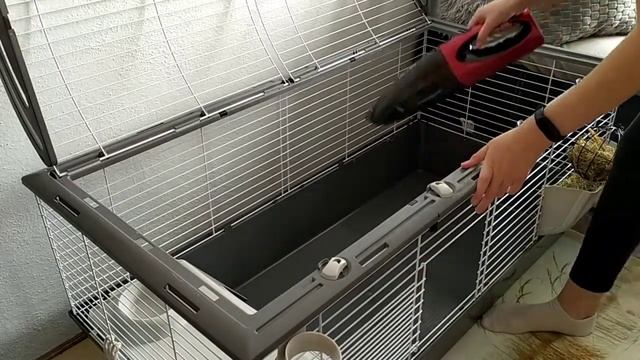 Jak čistím klec🐰🌺/Life with rabbit смотреть онлайн