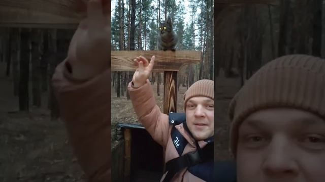 Кот СВО🇷🇺 смотреть онлайн