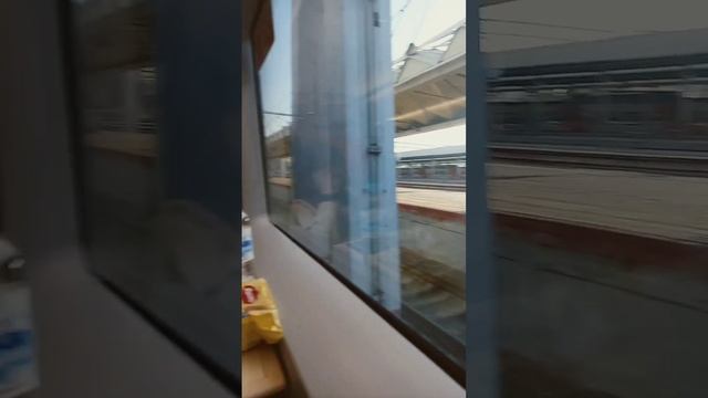 в Сапсане еду в Санк Петербург к Елена Райтман смотреть онлайн