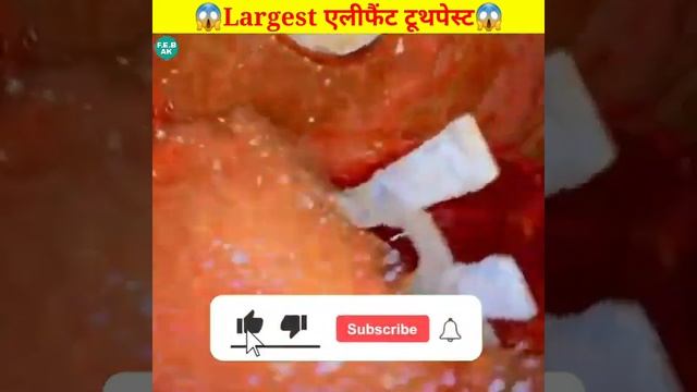 Largest Elephant Toothpaste😱 Experiment BY @MRINDIANHACKER @CrazyXYZ #shorts #ytshorts смотреть онлайн