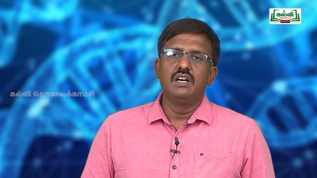 NEET | ZOOLOGY | STRUCTURE OF DNA | Kalvi TV смотреть онлайн