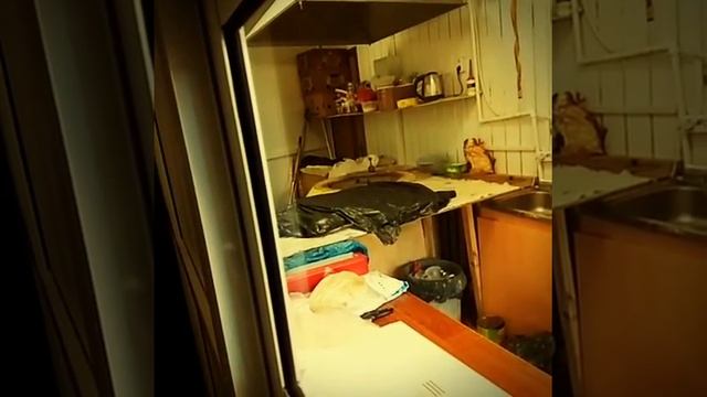 Шаурма номер один в мире смотреть онлайн