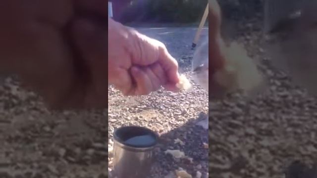 Fiskemåke drikker vann смотреть онлайн