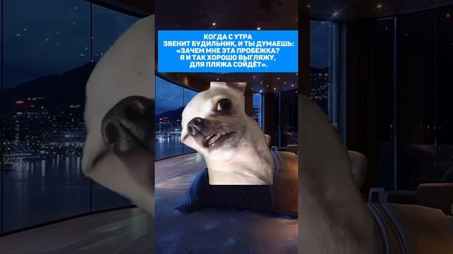 Готовим тело к лету смотреть онлайн