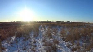 Охота на косулю крайняя в 2024 году