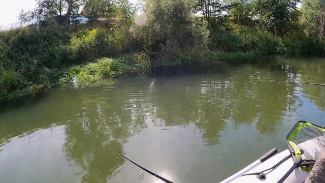 День эпичных щучьих промахов